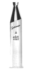 STOLICHNAYA ELIT logo