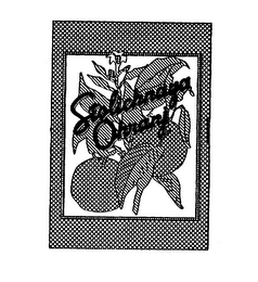 STOLICHNAYA OHRANJ logo