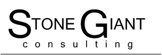 STONE GIANT CONSULTING logo