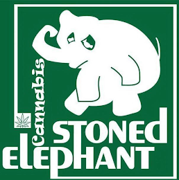 STONED ELEPHANT CANNABIS logo