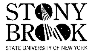 STONY BROOK STATE UNIVERSITY OF NEW YORK logo