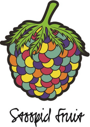 STOOPID FRUIT logo