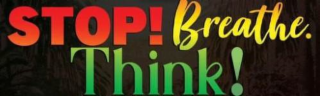STOP! BREATHE. THINK! logo