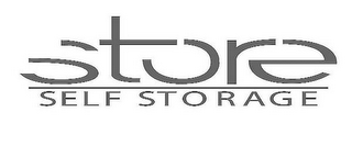 STORE SELF STORAGE logo