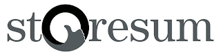 STORESUM logo