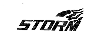 STORM logo