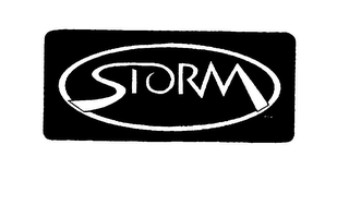 STORM logo