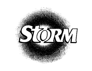 STORM logo