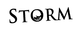 STORM logo