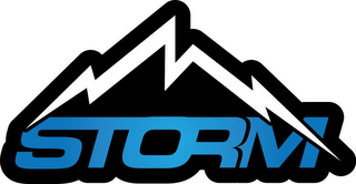 STORM logo