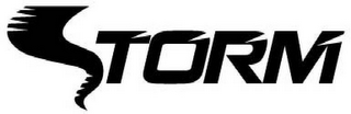 STORM logo
