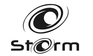 STORM logo