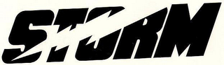STORM logo