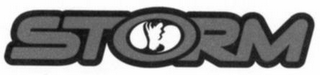 STORM logo