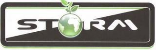 STORM logo