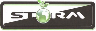 STORM logo
