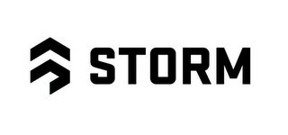 STORM logo