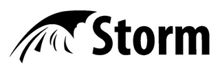STORM logo