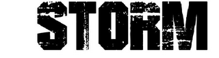 STORM logo