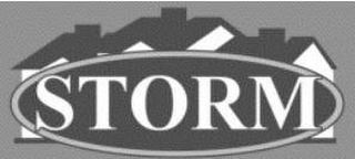 STORM logo
