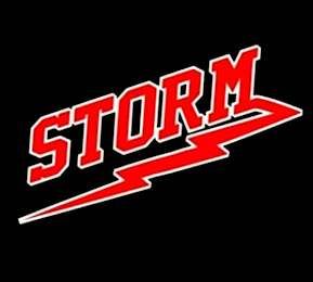 STORM logo