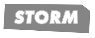 STORM logo