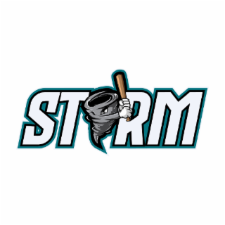 STORM logo