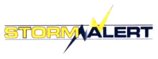STORM ALERT logo