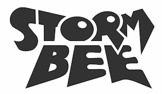 STORM BEE logo