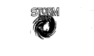 STORM BEER logo