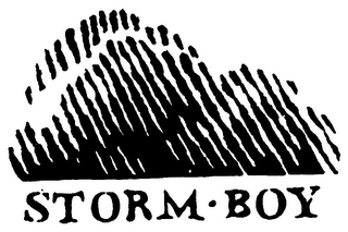 STORM-BOY logo