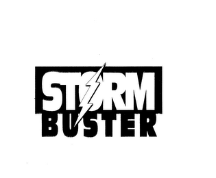 STORM BUSTER logo