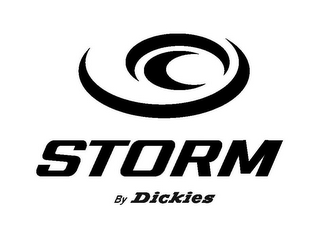STORM BY DICKIES logo