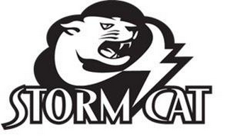 STORM CAT logo