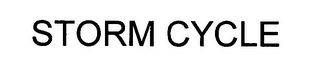 STORM CYCLE logo