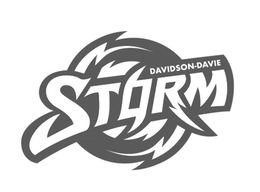 STORM DAVIDSON-DAVIE logo