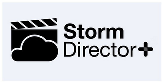 STORM DIRECTOR+ logo