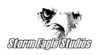 STORM EAGLE STUDIOS logo
