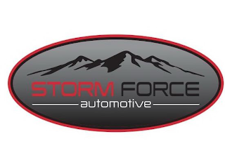 STORM FORCE AUTOMOTIVE logo