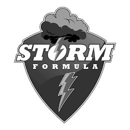 STORM FORMULA logo