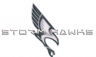 STORM HAWKS logo