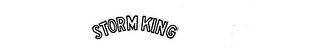 STORM KING logo