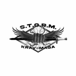 S.T.O.R.M. KRAV-MAGA logo