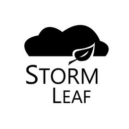 STORM LEAF logo