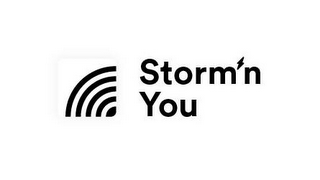 STORM' N YOU logo