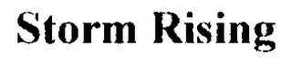 STORM RISING logo