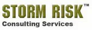 STORM RISK CONSULTING SERVICES logo