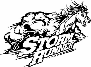 STORM RUNNER logo