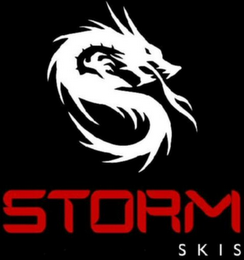 STORM SKIS logo