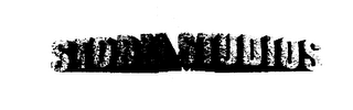 STORM STUDIOS logo